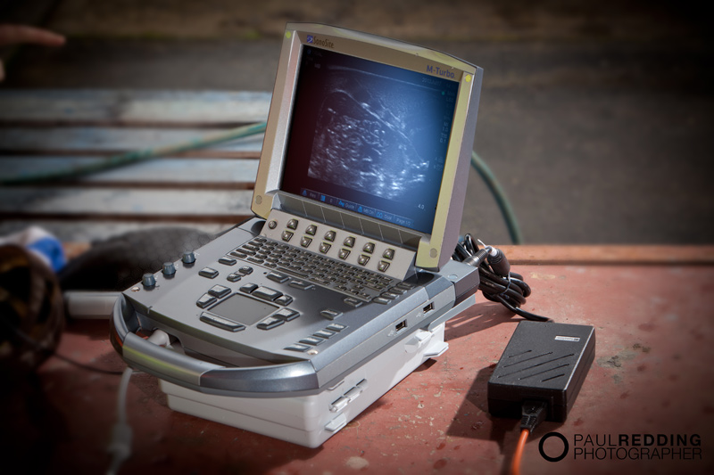 BCF Ultrasound Australasia – Veterinary Equipment photography