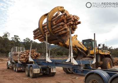 Wood chip mill photographer - Paul Redding, Tasmania