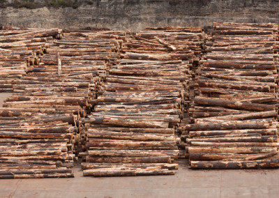 Wood chip mill photographer - Paul Redding, Tasmania